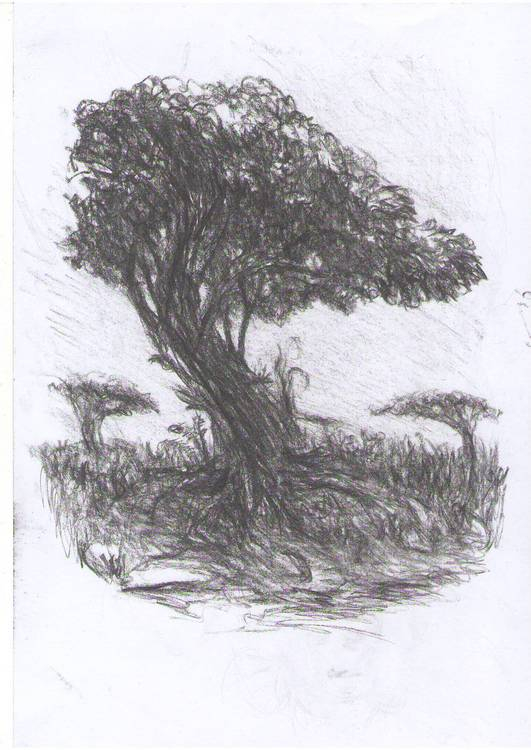 ммм...дерево=)