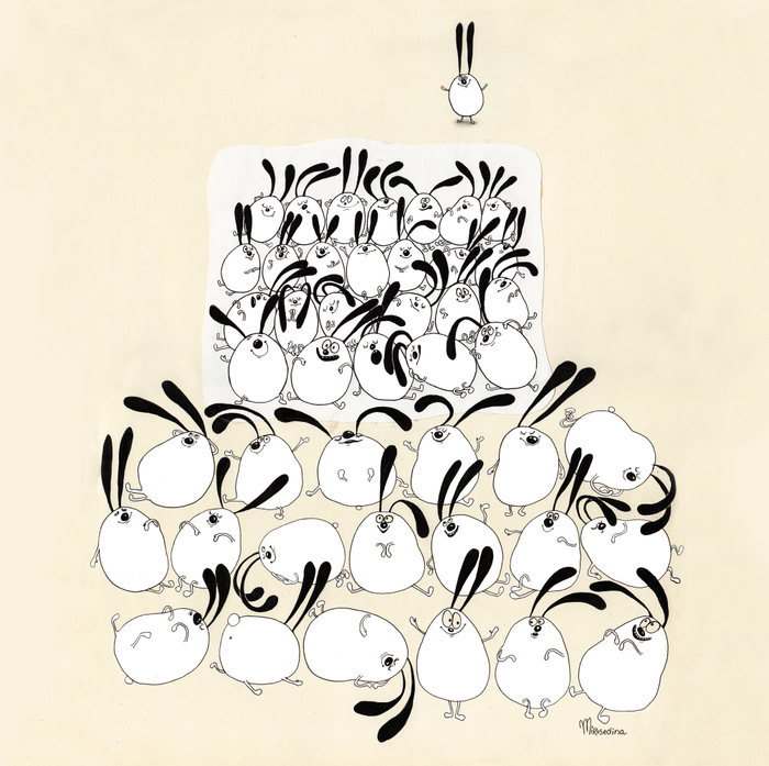 много заек не бывает