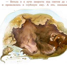 Мышка провалилась в берлогу медведицы