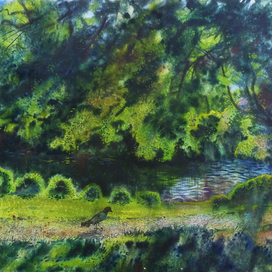 одинокая ворона