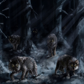 Hunting in the night