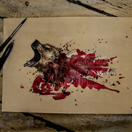 Все любят брутальность, медведей и шрифты