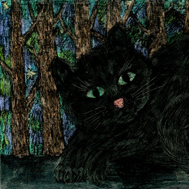 Чёрный кот (разворот 5)