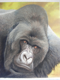  Задумчивый взгляд  