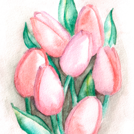 Тюльпаны