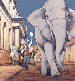 Слон в музее