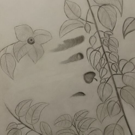 Мир метафизики 