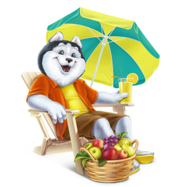 Хаски на даче