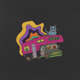 Кислотные котики