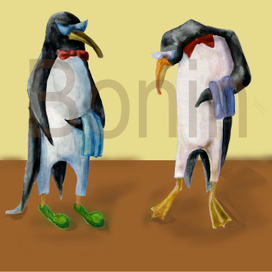 новые тапочки