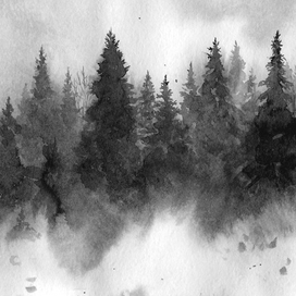 Песнь тумана