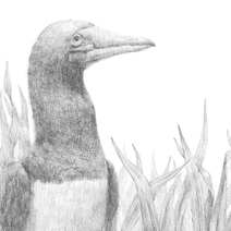 Полуполосная к "Повелителю мух"