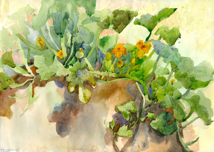 На грядке. Рождение тыквы)