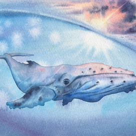 Горбатый кит.