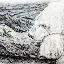 Мир меняется