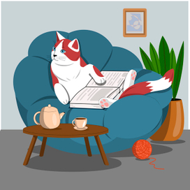 Один день из жизни кота