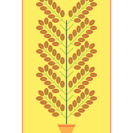 Денежное дерево