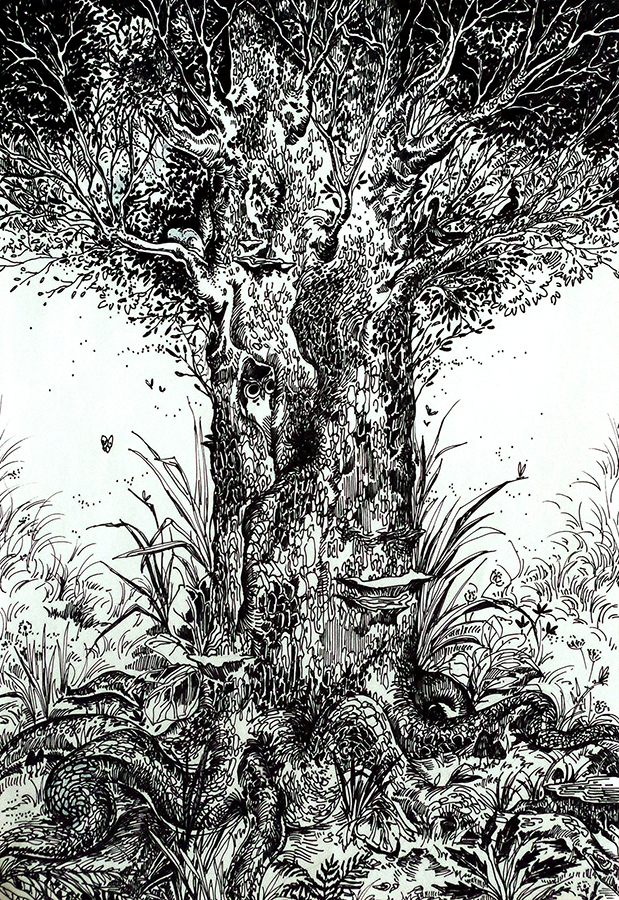 Лесная тема 02