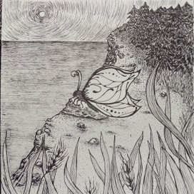 Рассвет для бабочки