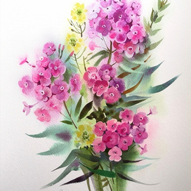 "Садовые флоксы"