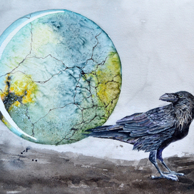 Захватят ли вороны мир?..