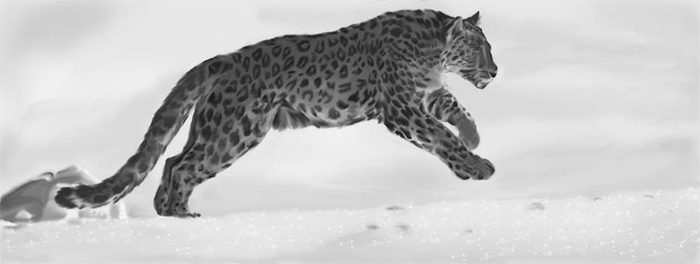 Кадр из рекламного ролика