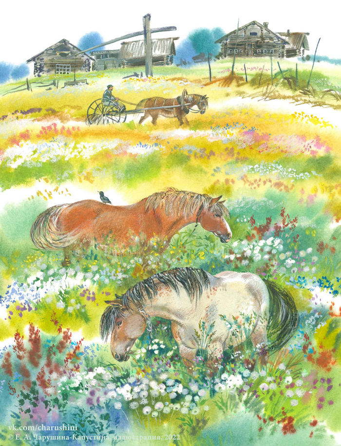 Иллюстрация к авторской книге "Зеркальный дом озёрной чайки" 