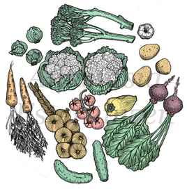 Овощи. Иллюстрация для журнала.