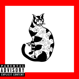 Обложка альбома для американского музыканта