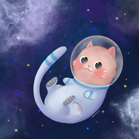 Котик космонавт DTIYS