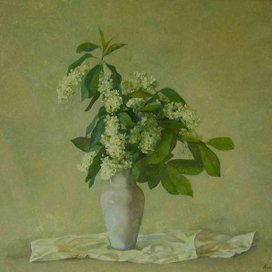 черемуха душистая