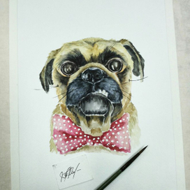 Джентельмен