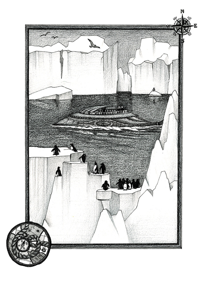 Курс на Южный полюс