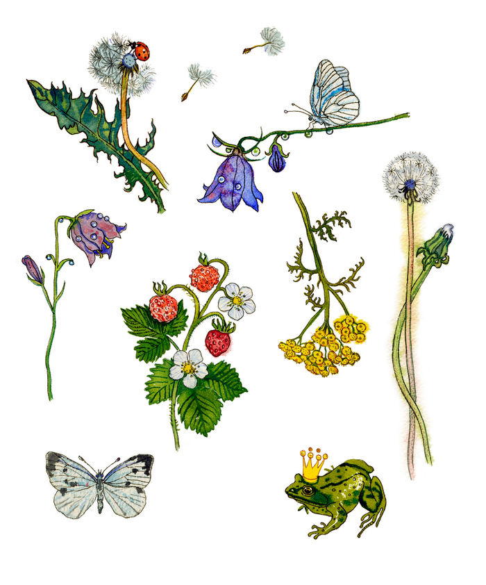 Летние сокровища.