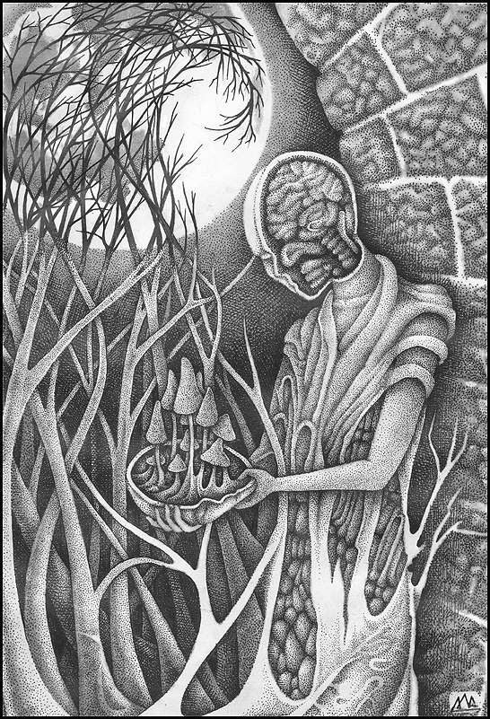 Среднее полушариё