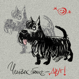 Лушка-подрушка