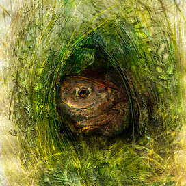 Брунхильда