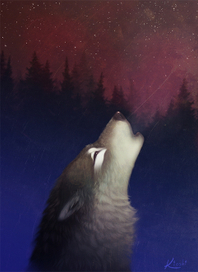 Баллады спетые волками