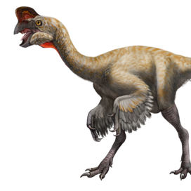 Персонажи Oviraptor (динозавры)
