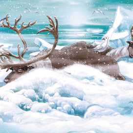 Северное сияние (олени)