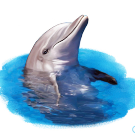 Иллюстрация для книги Брема «Жизнь животных» «Дельфин»