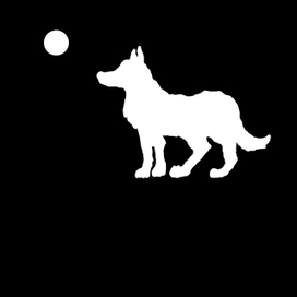 Волк под луной