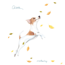 Летючий Джек