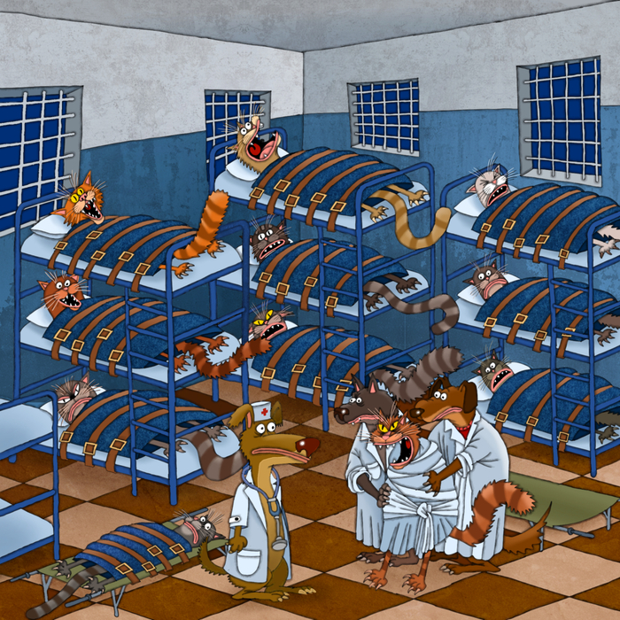 Кошачья психушка