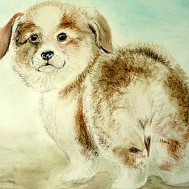 Лохматое чудо