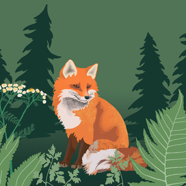 Лес - Лиса