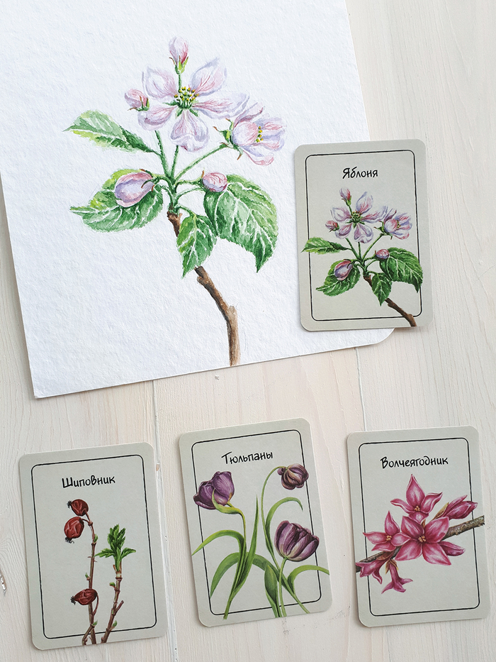 Игра мемори "Грибы и растения"