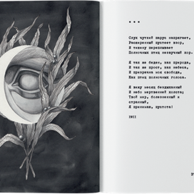 О. Мандельштам "Камень"