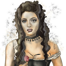 Wild West Illustrations