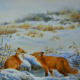 Первое знакомство